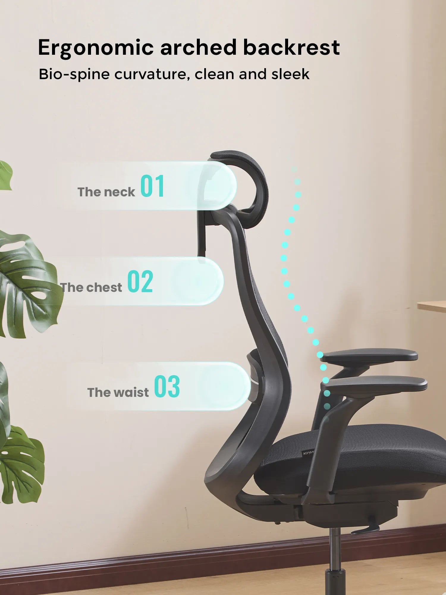 S5 Office Chair with Smooth Arch Design Style