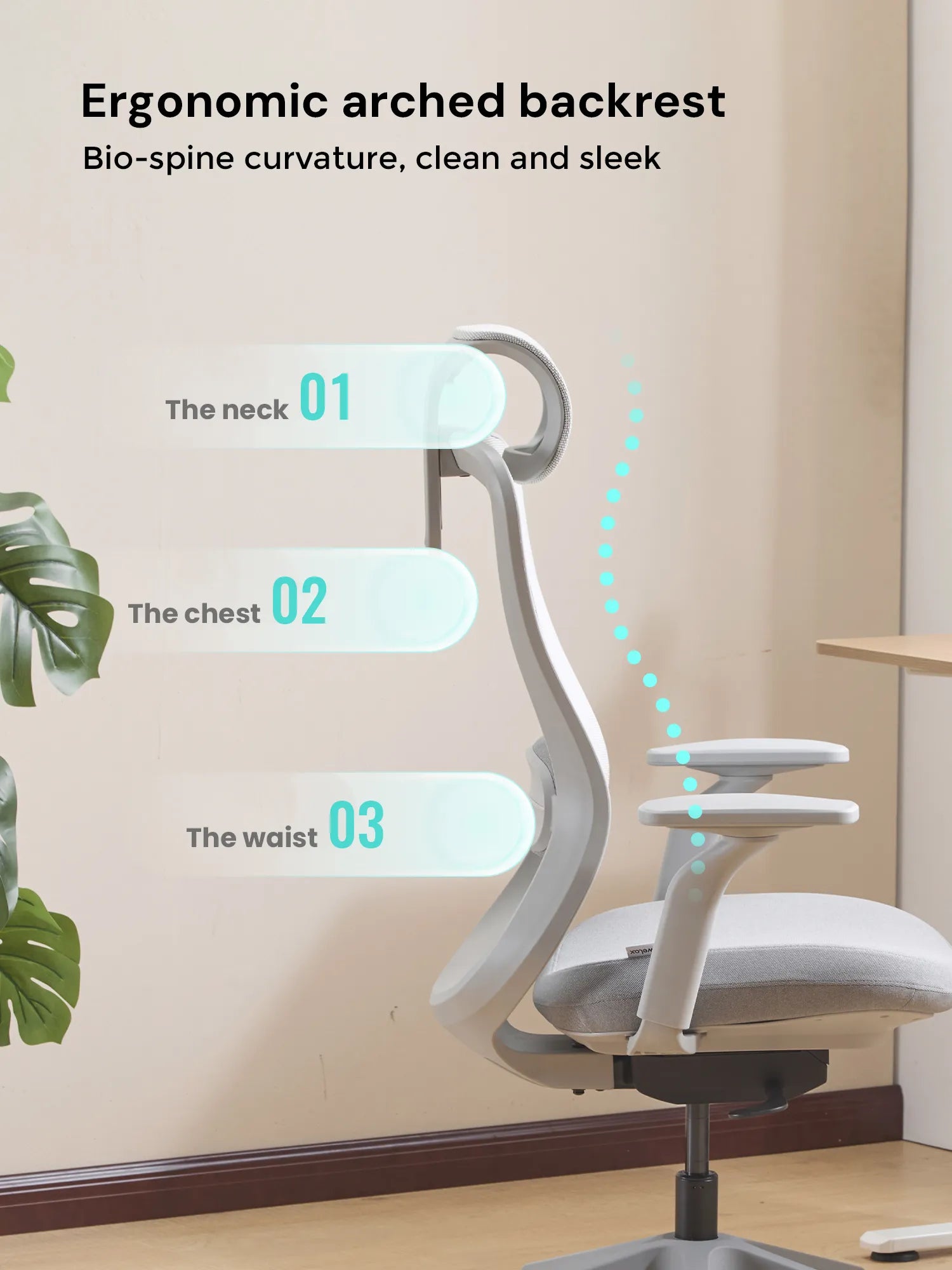 S5 Office Chair with Smooth Arch Design Style