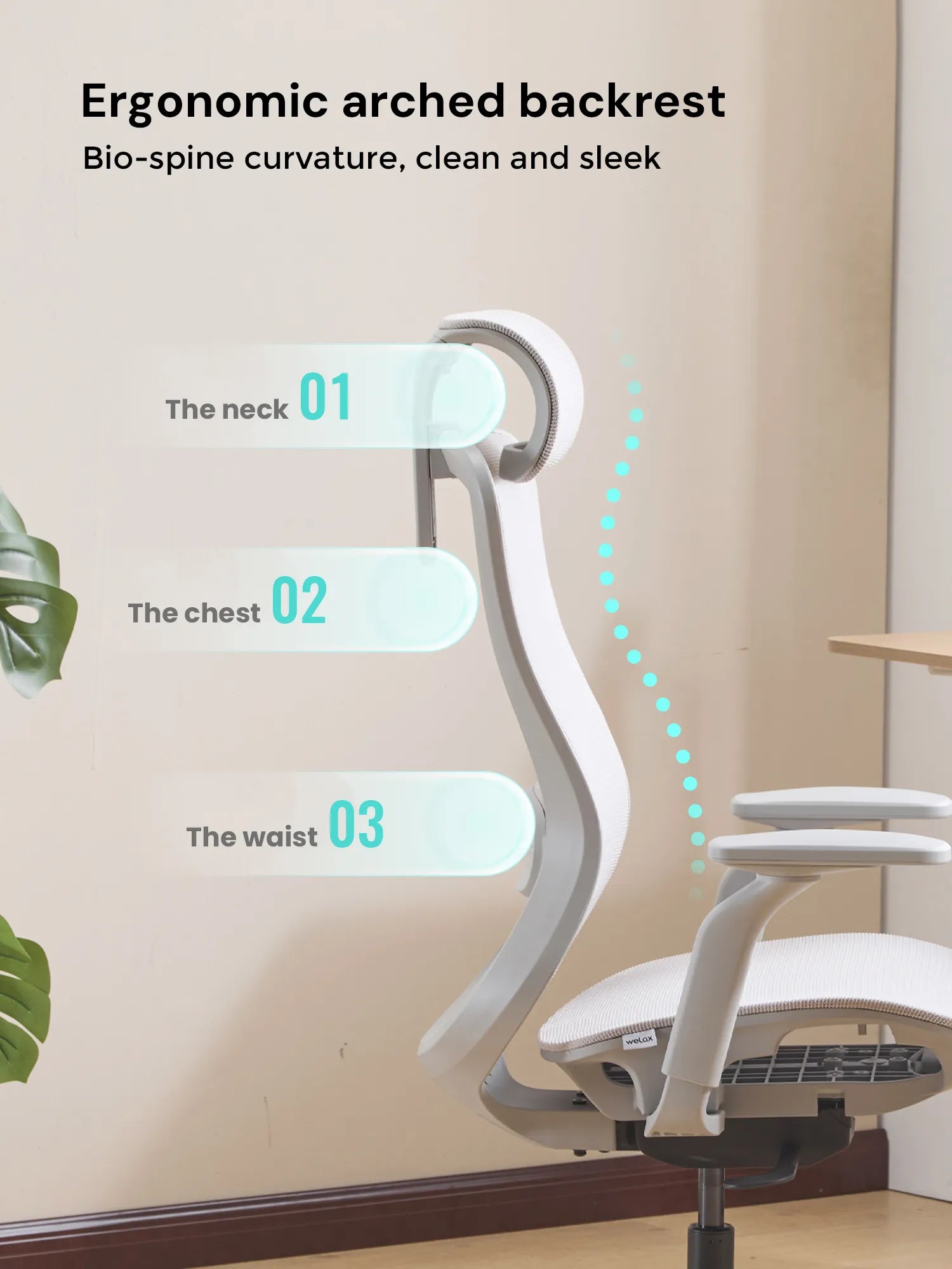S5 Office Chair with Smooth Arch Design Style