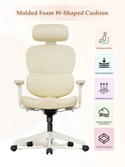 S3 Pro Office Chair with Colorful Lifestyle Design