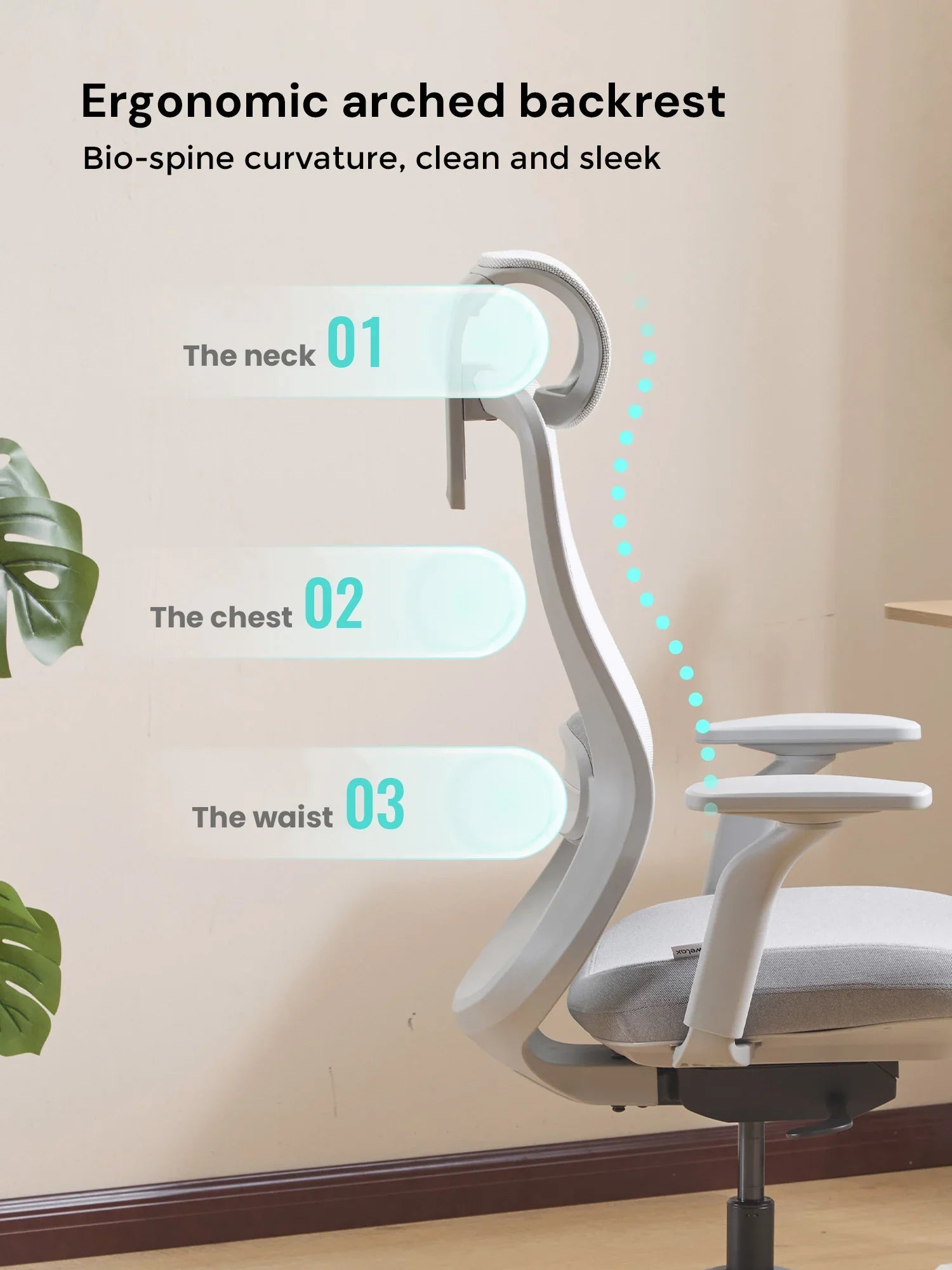 S5 Office Chair with Smooth Arch Design Style